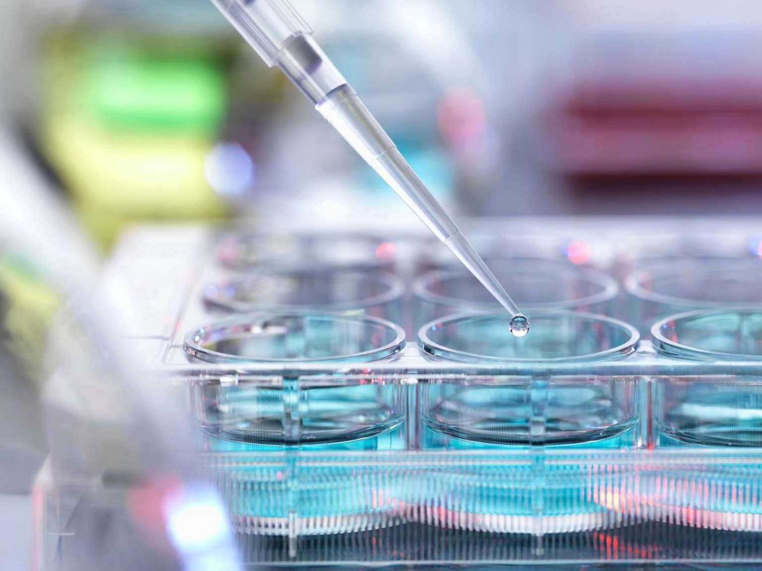 seekingalpha.com - Market Edge Researcher - Veracyte: Strong Diagnostic Growth And Improving Margins (NASDAQ:VCYT)