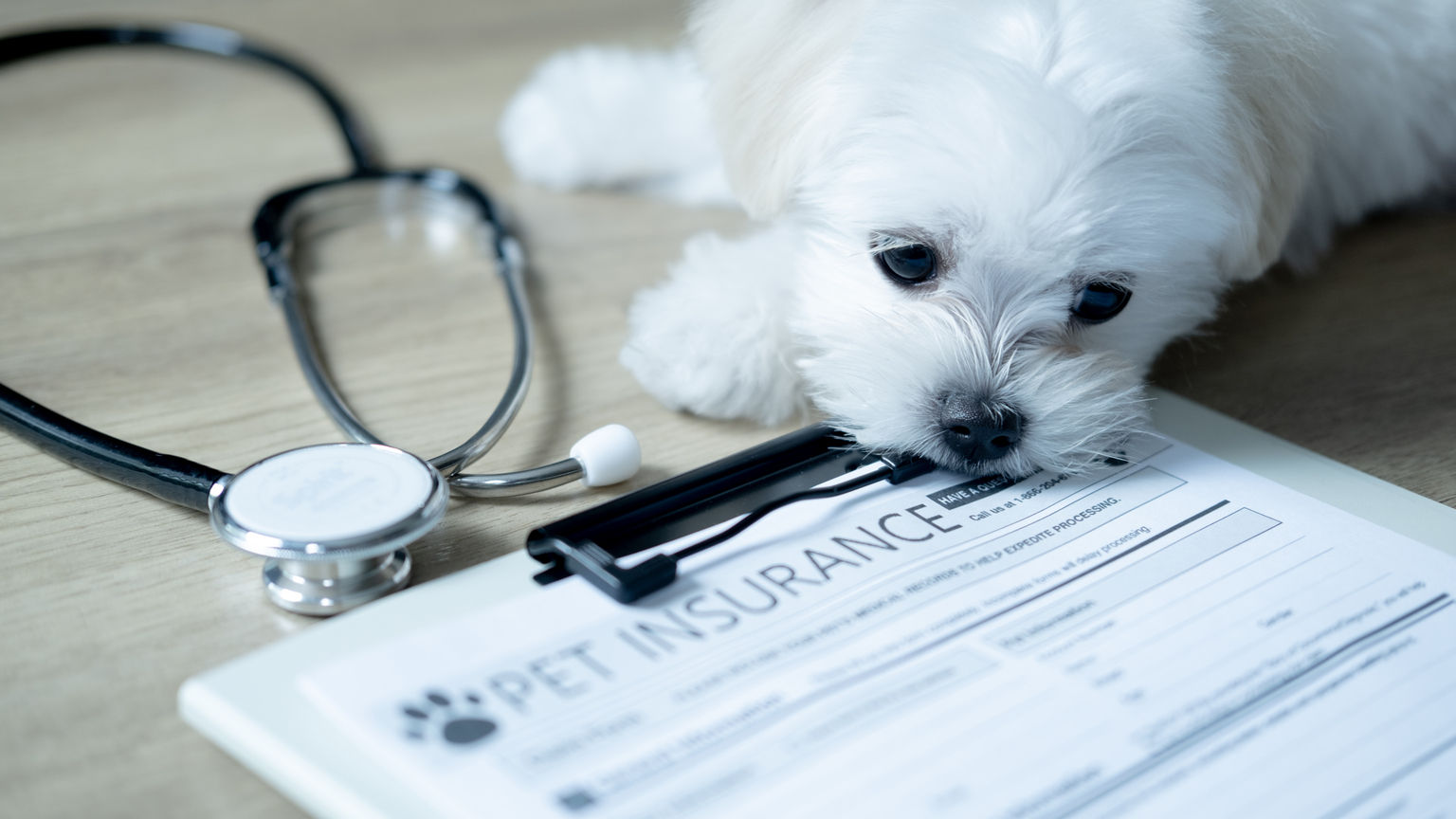 seekingalpha.com - Markit - U.S. Pet Insurance Market Growth Slows In 2025, But Still Robust