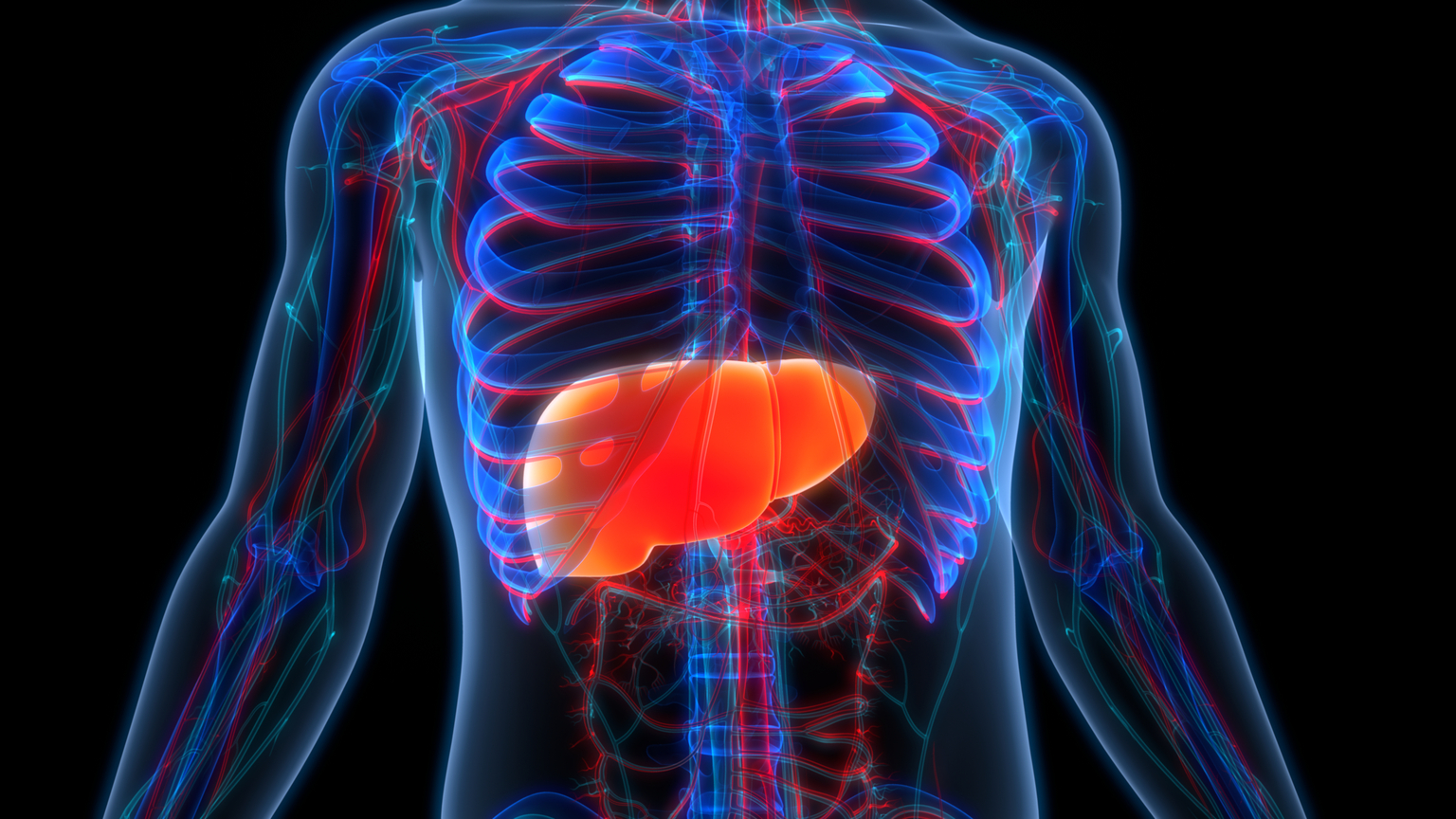 seekingalpha.com - Brendan O'Boyle - Madrigal Pharma: What To Expect With Q4 Earnings Coming Thursday (NASDAQ:MDGL)