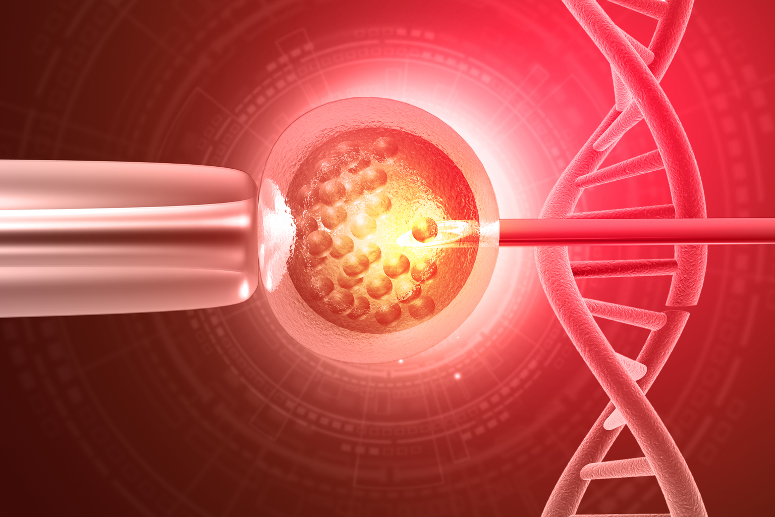seekingalpha.com - Valkyrie Trading Society - Progyny: Significant Non-Cash Compensation Limits Value Case (NASDAQ:PGNY)