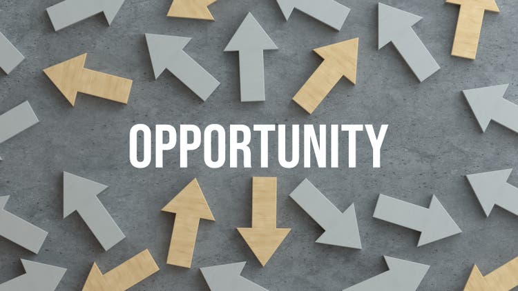 Seizing Opportunity: Navigating Paths