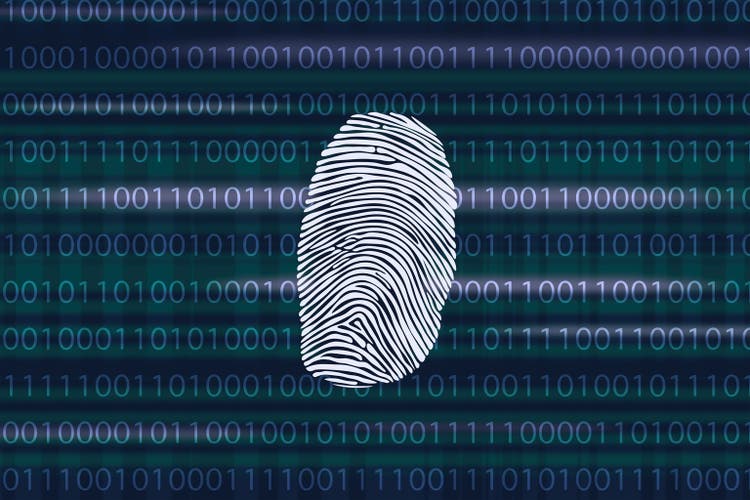 Biometric fingerprint scanner