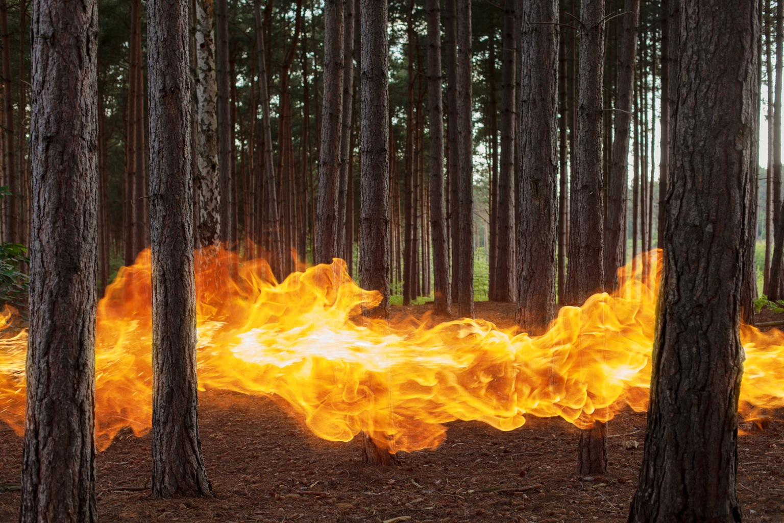 This Week's CPI Report May Hand The Market A Harsh Dose Of Reality