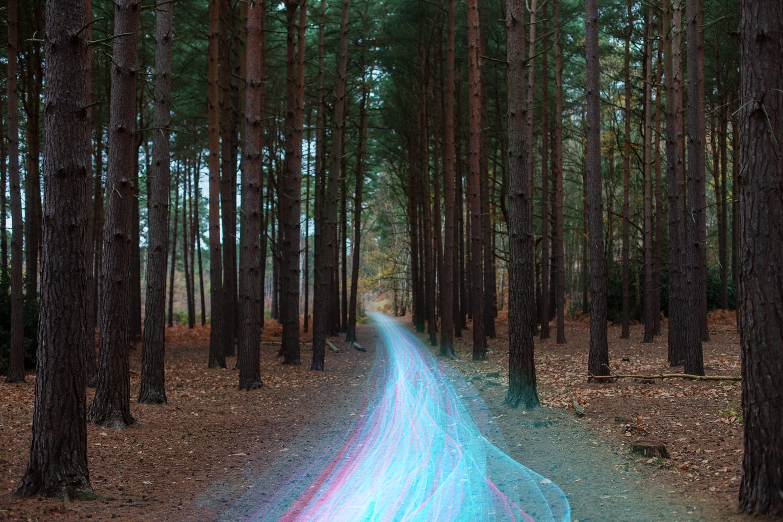 Lumentum: A Clear Winner Of Data Center Networking Speed Upgrades