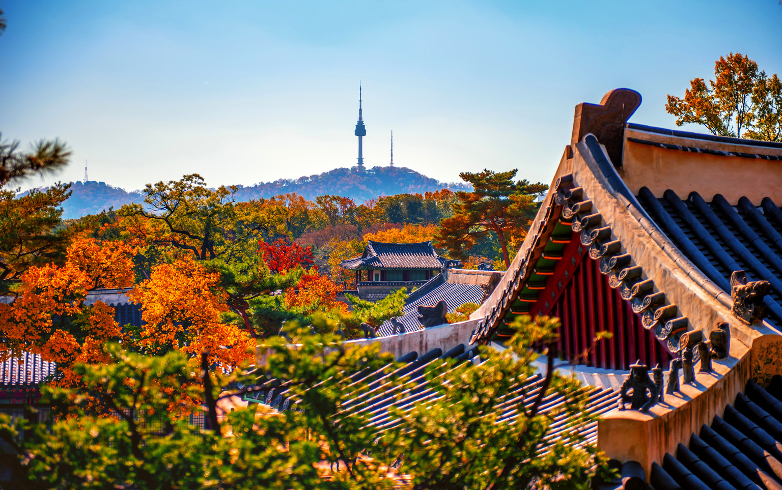 seekingalpha.com - Mike Zaccardi - KORU: Why Bearish South Korea Is The Play Into The Fall (NYSEARCA:KORU)