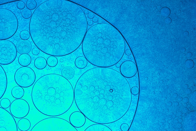 Blue macro science bubbles,Close-Up on Blue Bubbles in a Liquid, Abstract Background,Laboratory Petri dishes with liquid and pipette. Abstract scientific research concept.