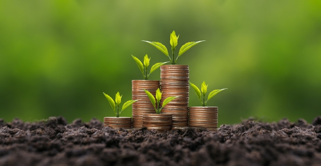 Plant growing on pile of coins - concept of financial growth, investment, savings, interest and banking.