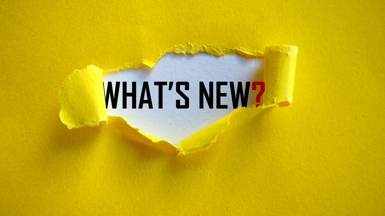Target: Sense Of Newness Drives Accelerated, Profitable Growth Prospects - Maintain Hold