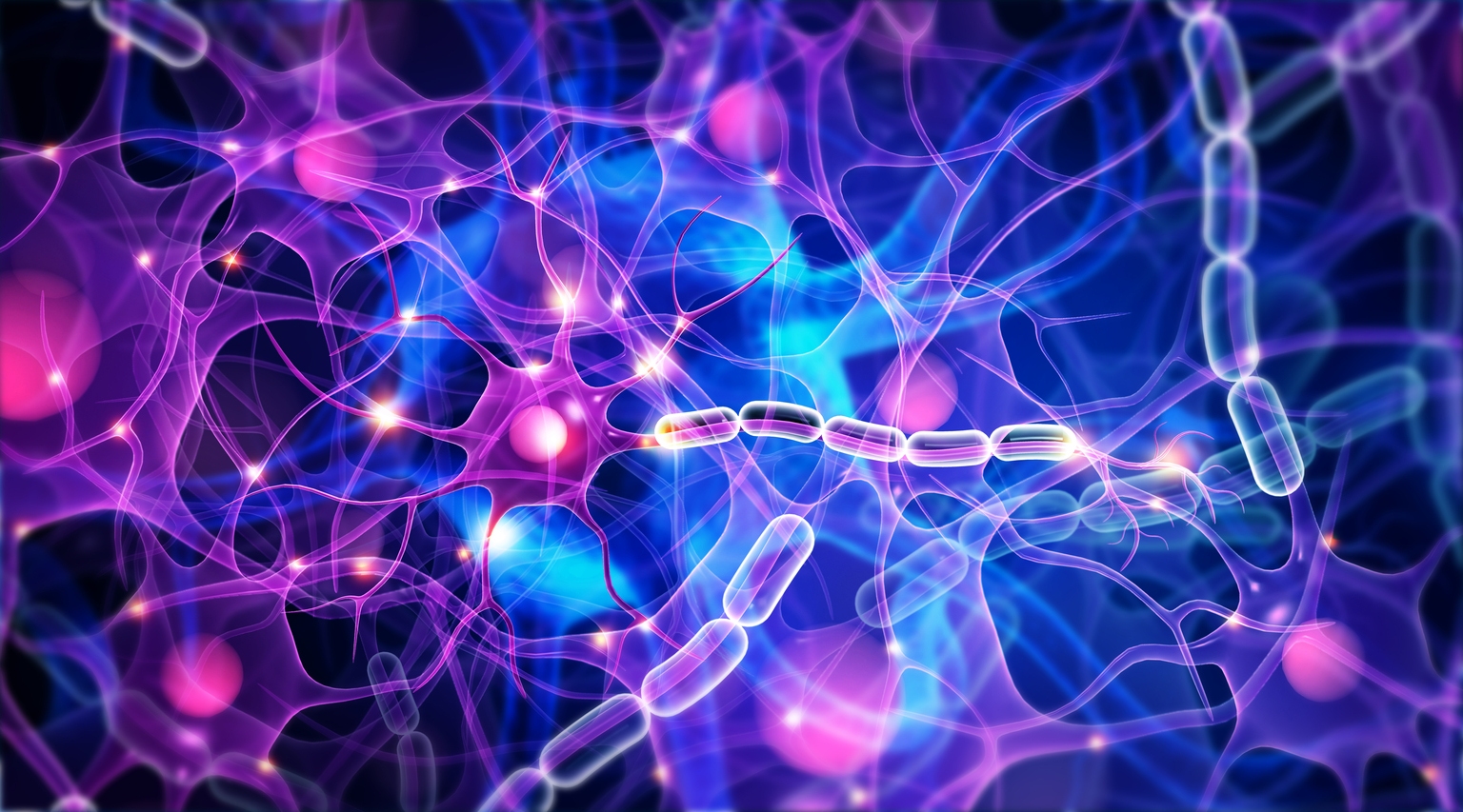 Biohaven: Despite Troriluzole Program Delay, FDA Review On Track For Q4 2025 (NYSE:BHVN)