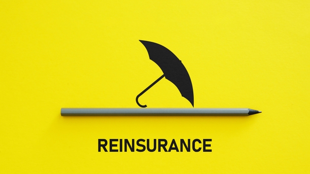 Reinsurance is shown using the text as business and financial concept