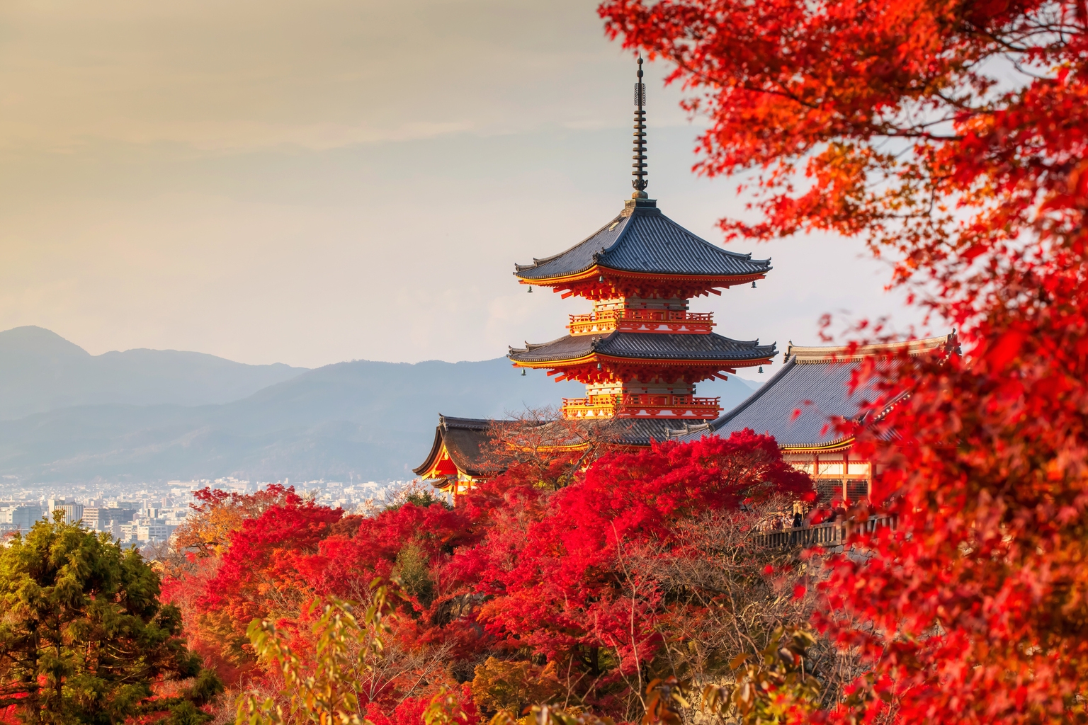 FLJP: Political Turmoil Is A Concern For Japanese Markets