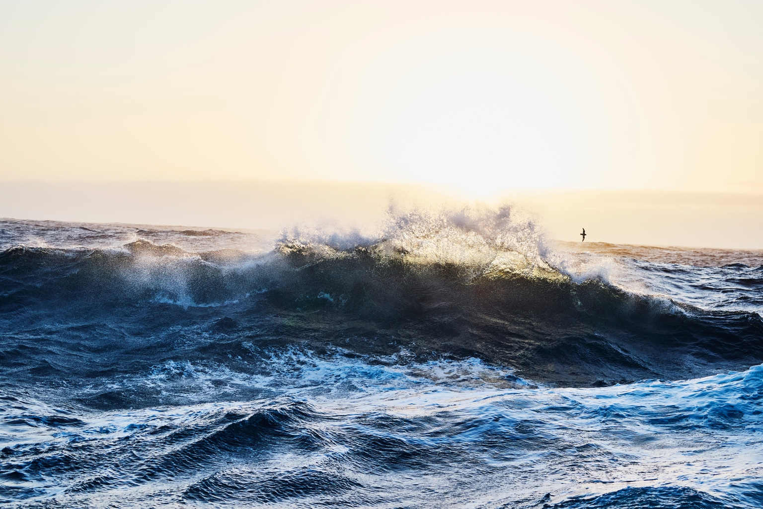 ORN: Marine Setback Is Noise, Not Signal – Reiterating Strong Buy (NYSE:ORN) ORN: Marine Setback Is Noise, Not Signal – Reiterating Strong Buy (NYSE:ORN)