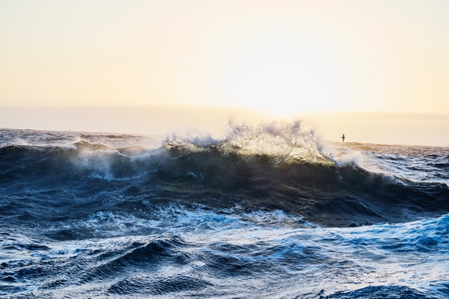 Eco Wave Power Joins NVIDIA Inception Program