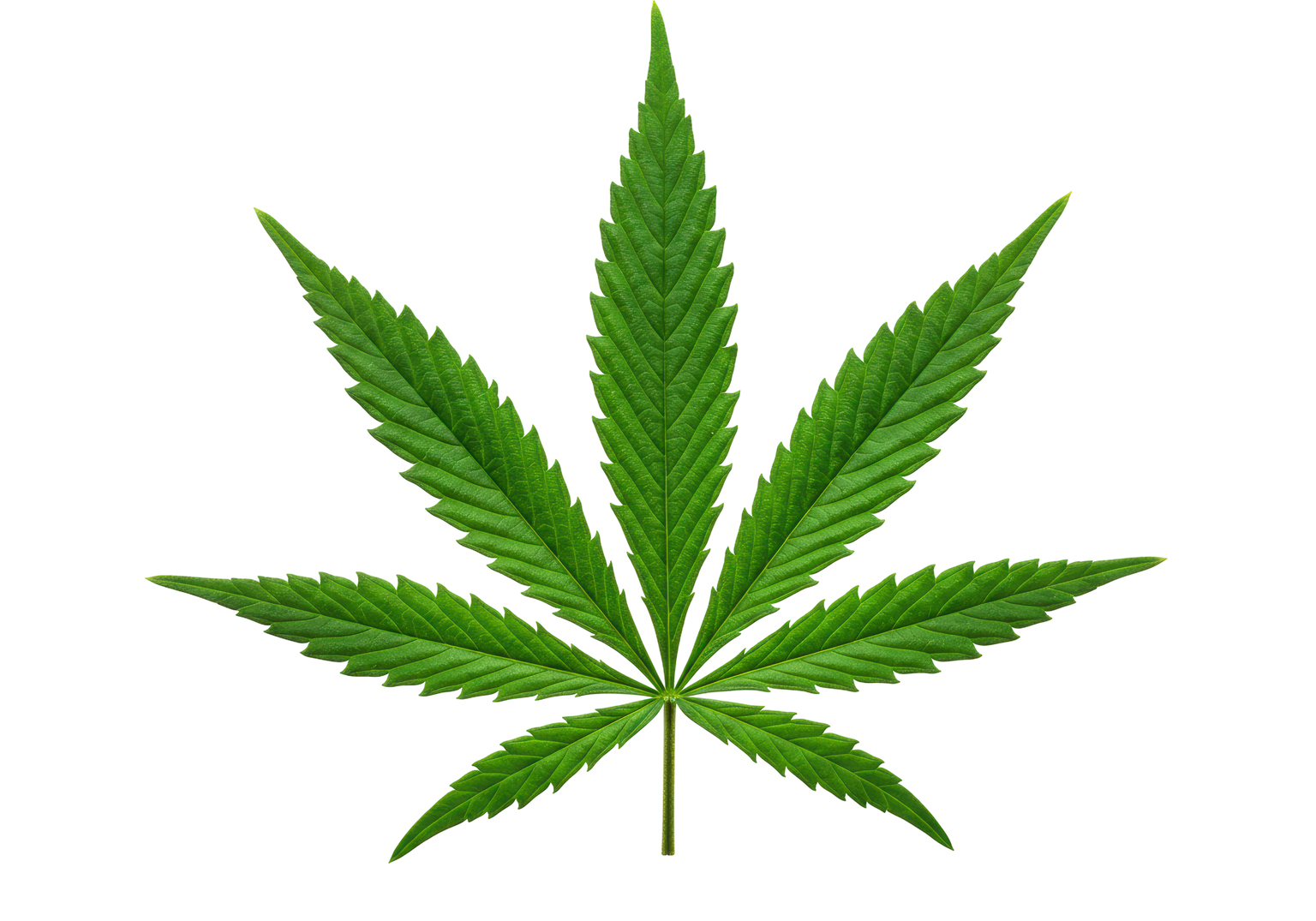 seekingalpha.com - The Cannabis Investing Podcast - Let's Go All In On Cannabis' Grown Rogue's Obie Strickler & Josh Rosen (undefined:GRUSF)