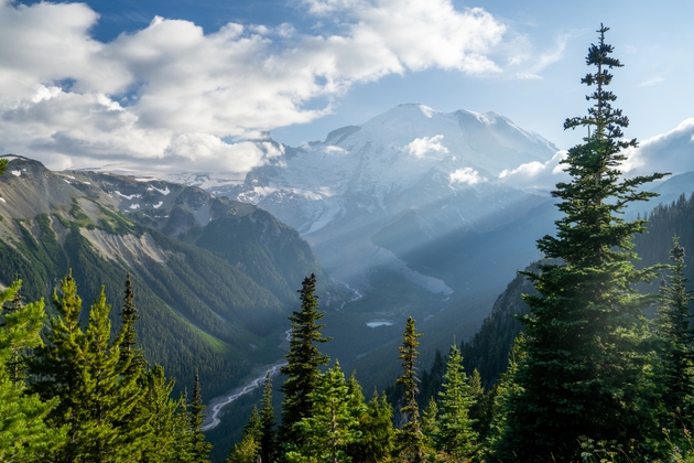 Snow-Capped Mount Rainier with Evergreen Forest, Pacific Northwest, USA
