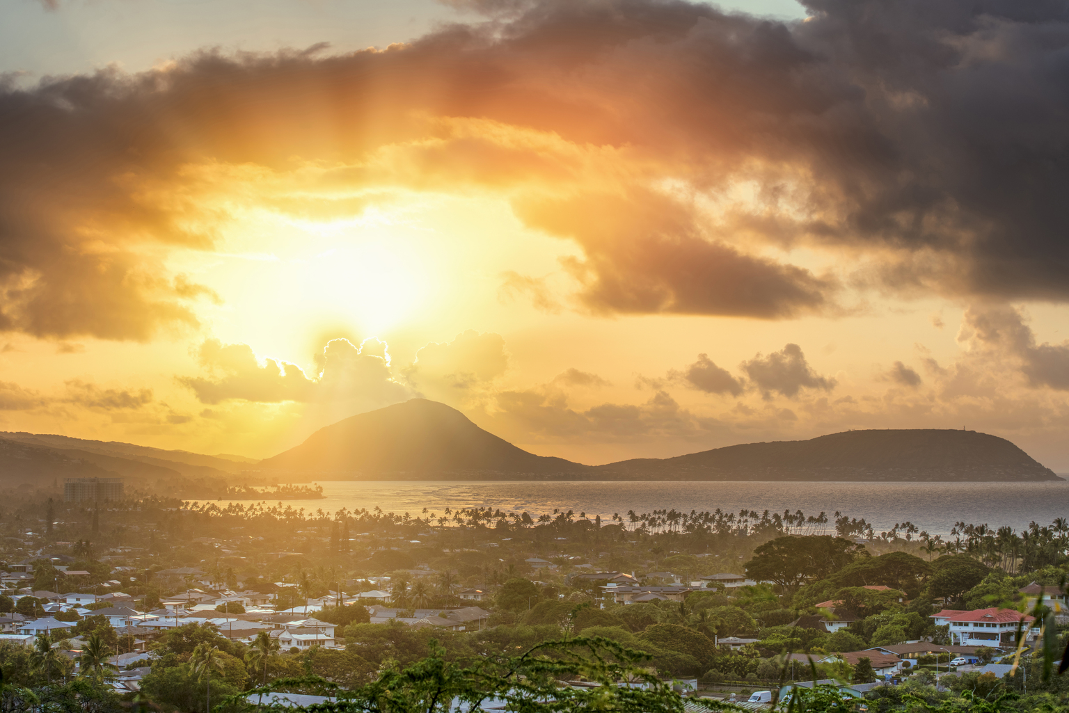 seekingalpha.com - Harry Qelm Baabsman - Harry Qelm Baabsman's 2025 FY Letter To Investors