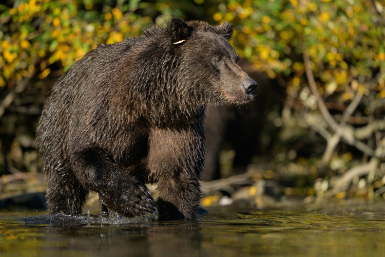 The Stage Is Set For A Sizeable Equity Market Pullback