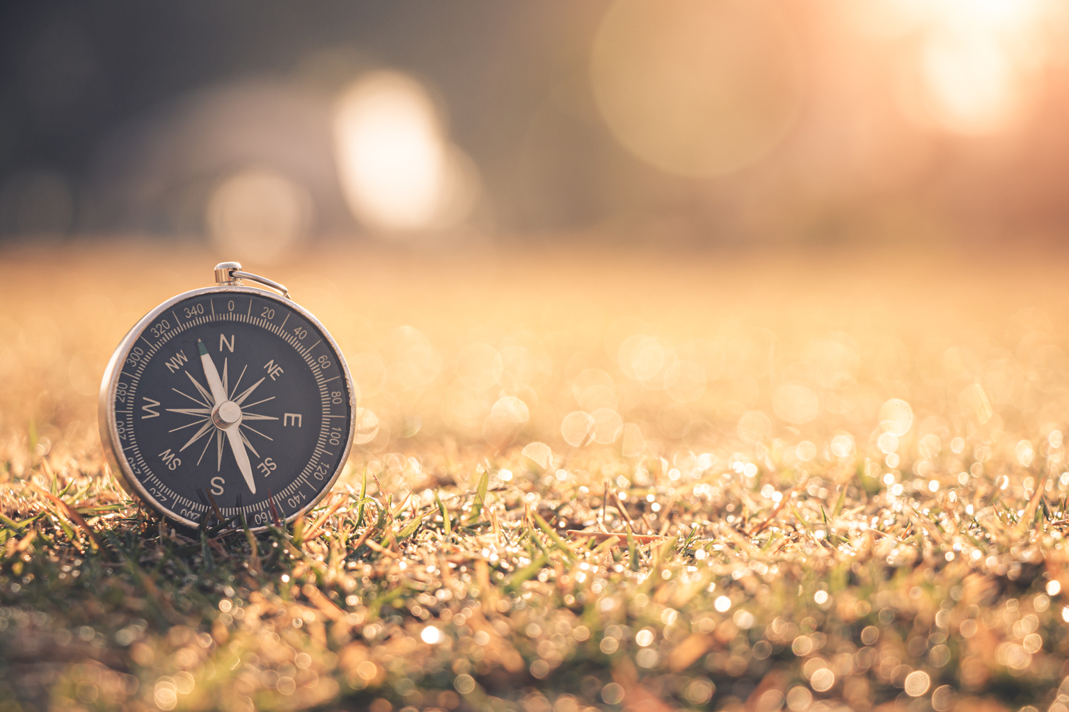 seekingalpha.com - Luuk Wierenga - Alexandria Real Estate Stock: A Long-Term Approach Is Required (NYSE:ARE)