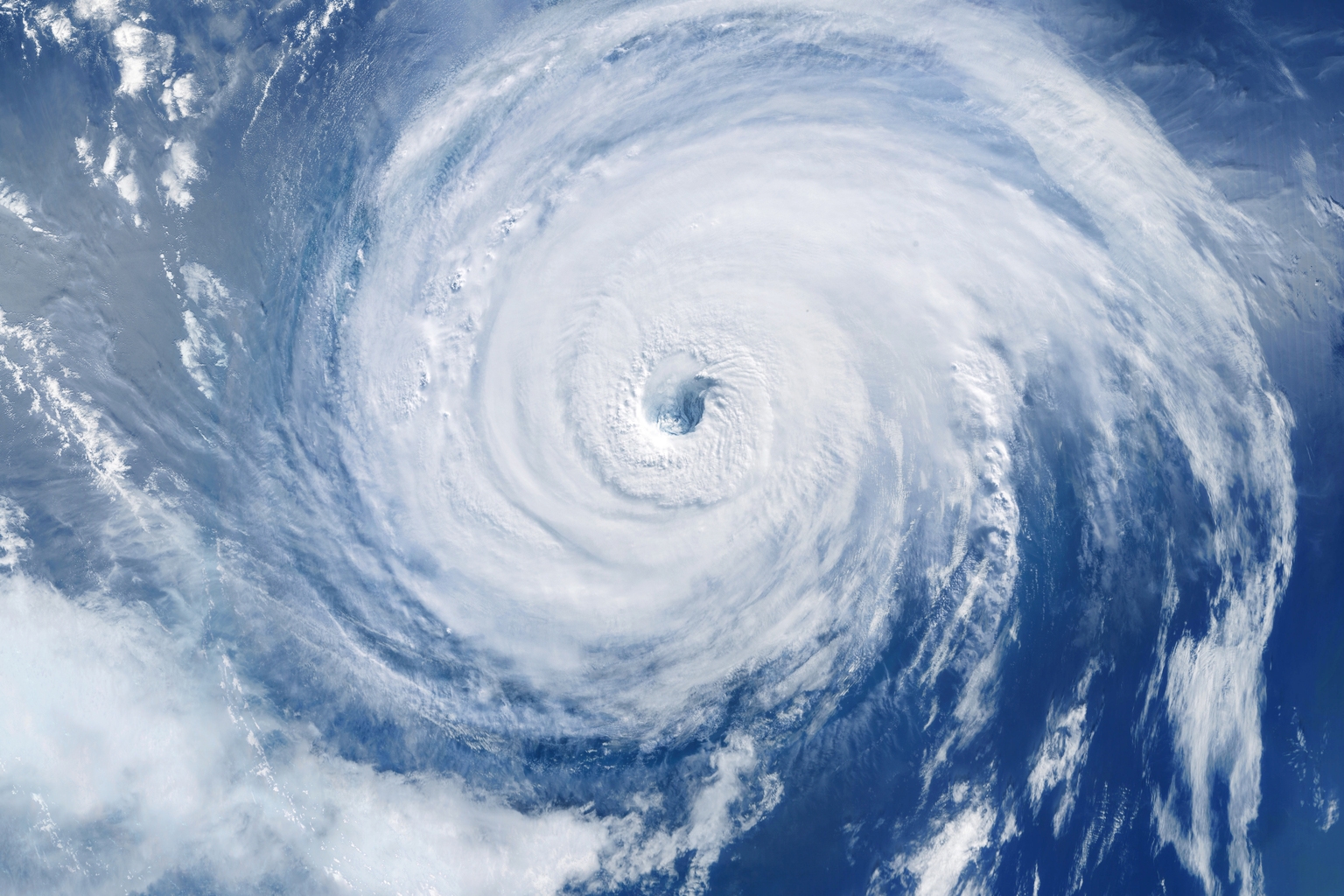 Chili And Chickens: My Hurricane Survival Investments
