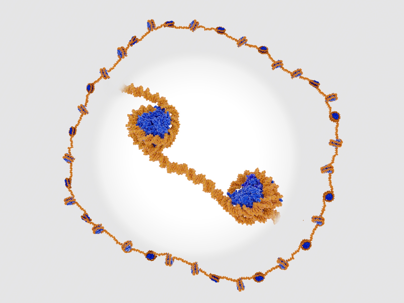 Boundless Bio: Underestimated Biotech With First-In-Class EcDNA ...