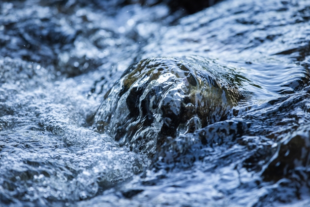 Close-up river stream in forest.