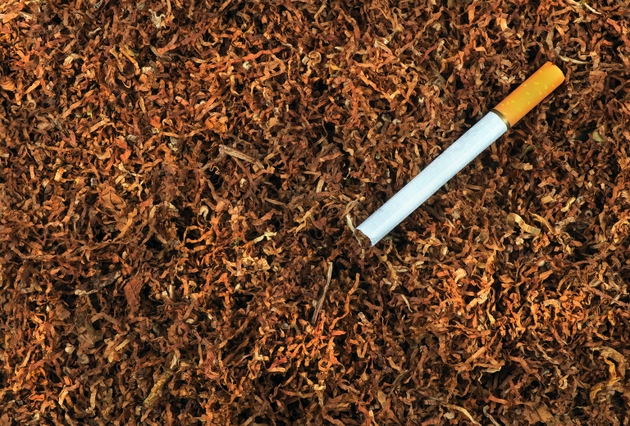 htp tobacco Heated Tobacco Products