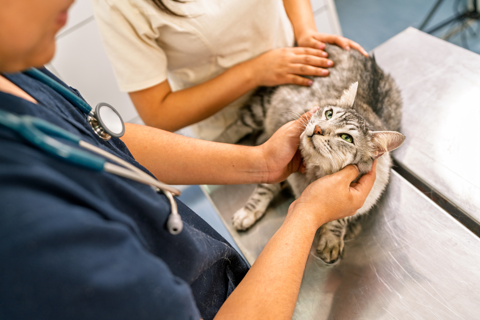 seekingalpha.com - Market Edge Researcher - Zoetis: Companion Animal Weakness Keeps Me On The Sidelines (NYSE:ZTS)