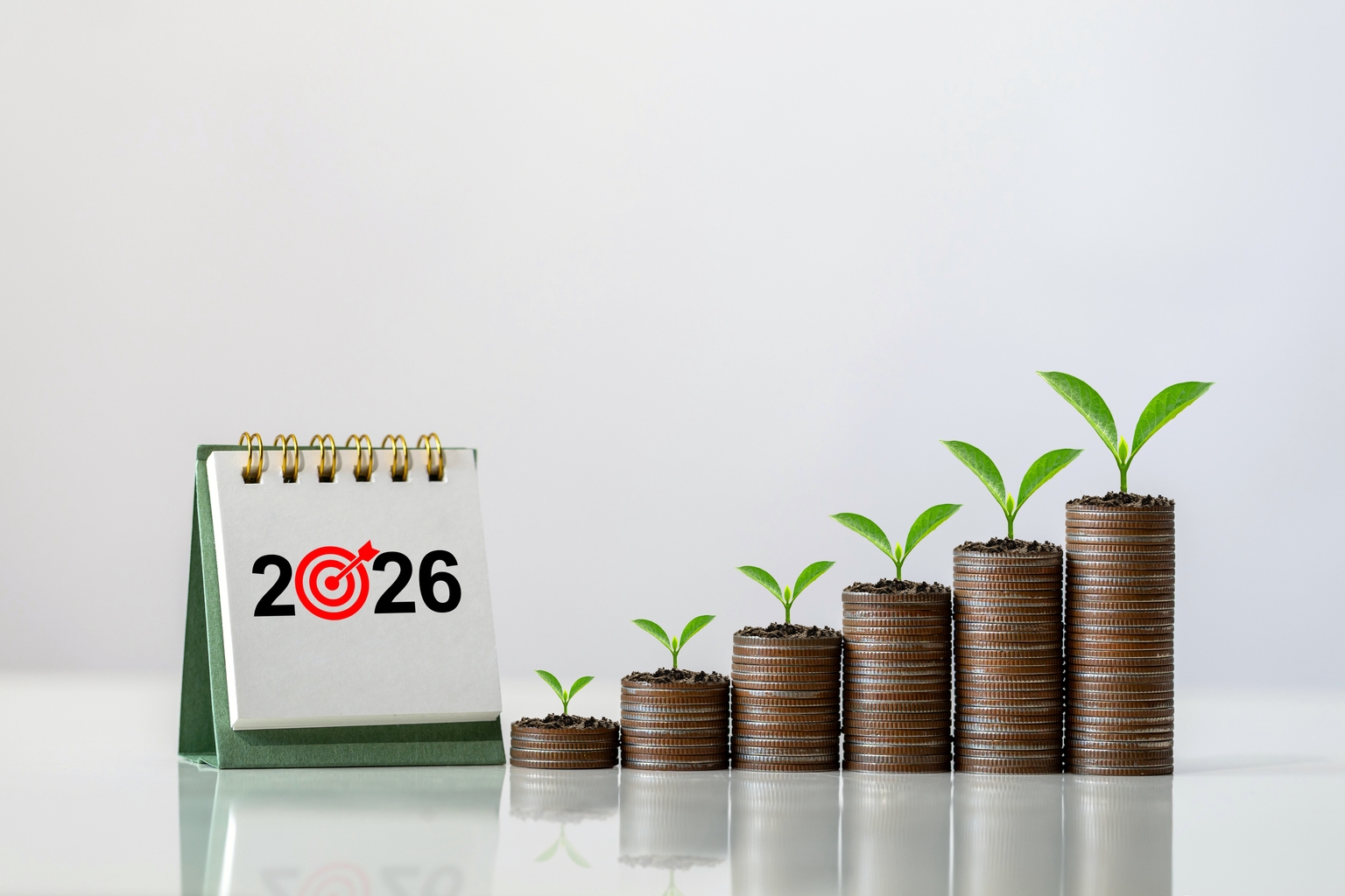 Charting The Year Ahead: Investment Ideas For 2026