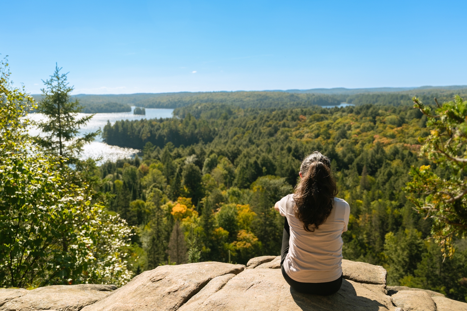 Algonquin Power: Q2 2026 Shows The Potential Upside