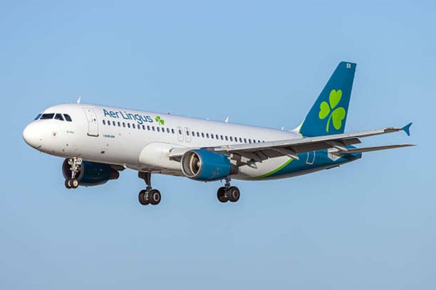 Aer Lingus Airbus A320 landing in the evening