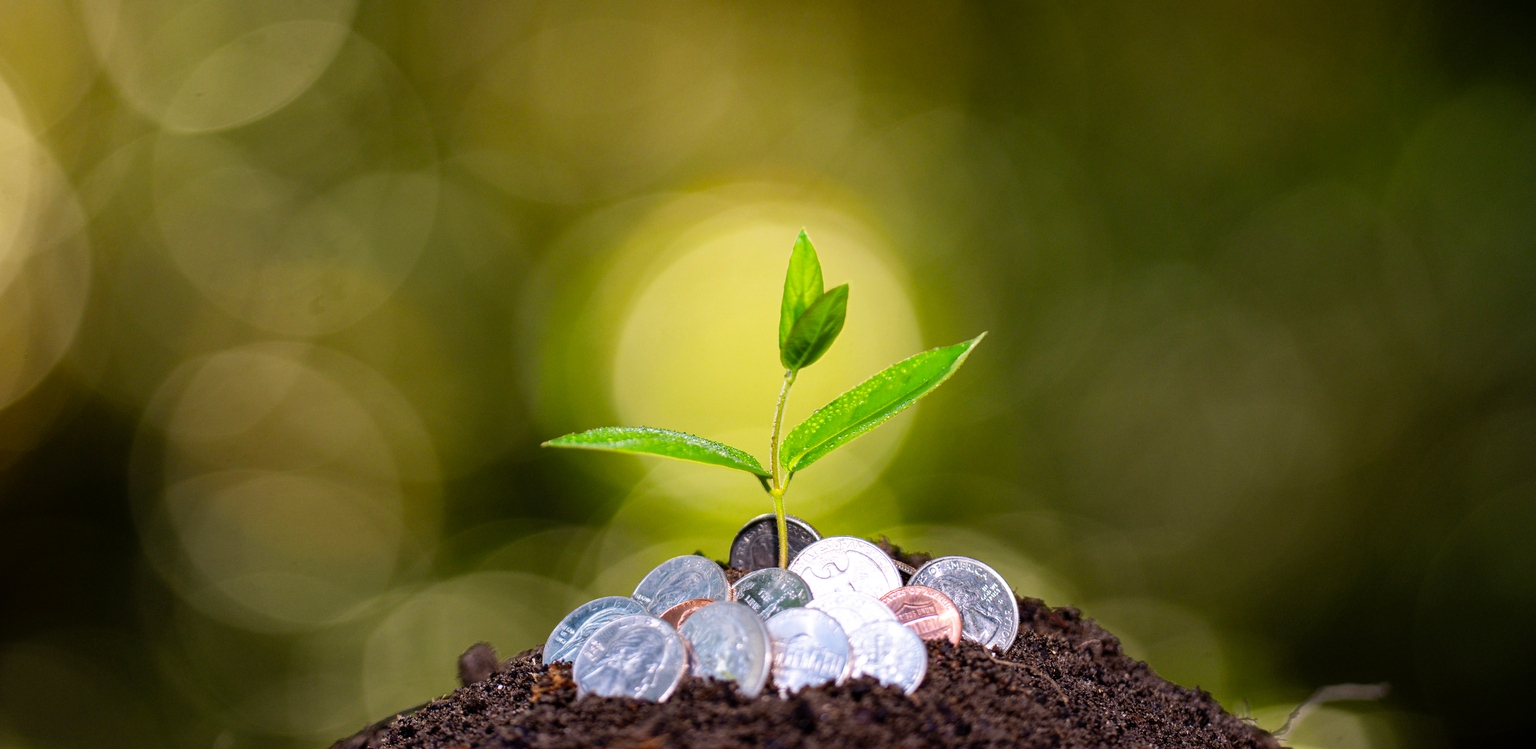 Allspring Emerging Markets Equity Advantage Fund Q1 2026 Commentary