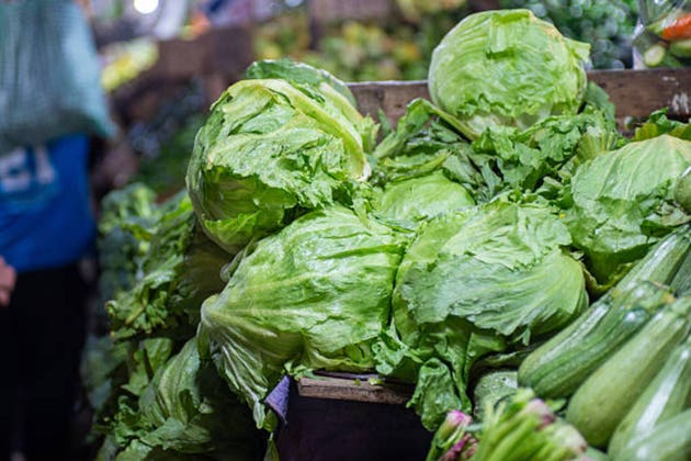 상추 리콜 이후 테일러 팜스(Taylor Farms), 식품 안전 점검 재개 대표 이미지