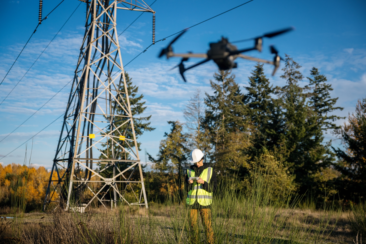 ZenaTech: Navigating High Growth, Dilution, And Government Contract Potential (ZENA)