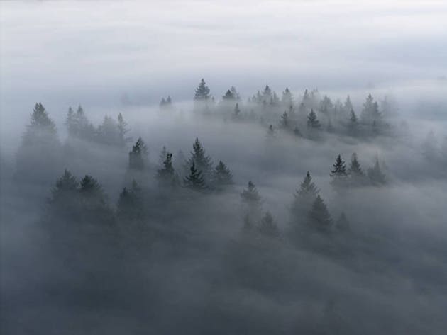 Aerial View of a Fog-Filled, Pacific Northwest Landscape Near Portland, Oregon