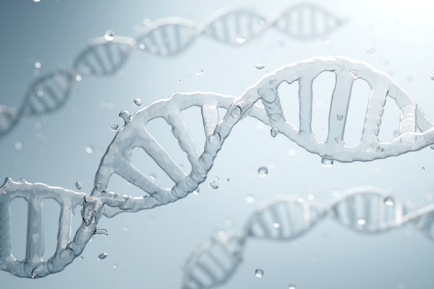 Assessing Where Regenxbio Stands After FY25 Results