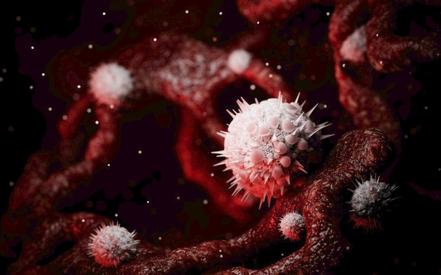 Virus, Papilloma, People, Human Papilloma Virus