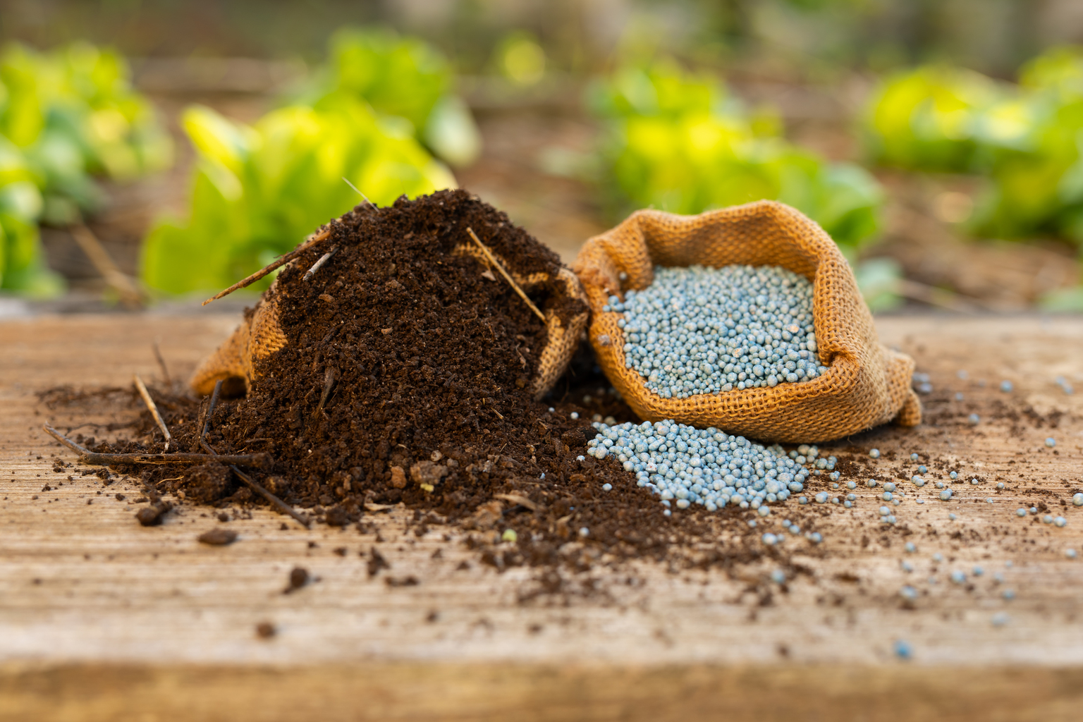 seekingalpha.com - Elio Murillo - Nutrien: Fertilizer Demand Isn't Going Anywhere, And The Market Is Undervaluing It