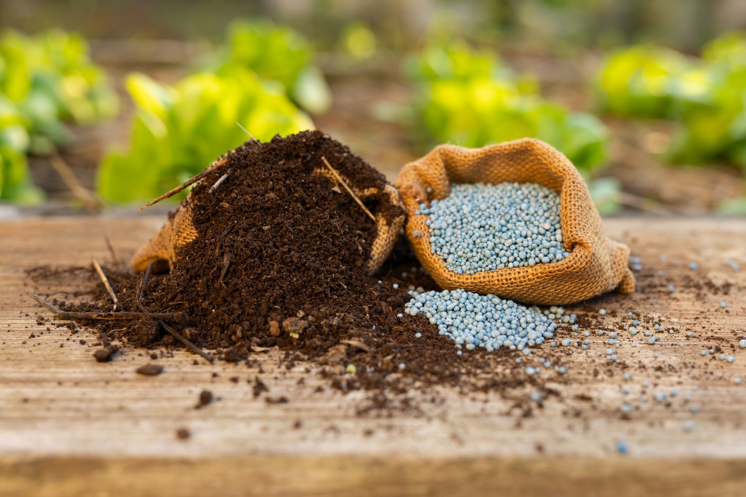Nutrien: Fertilizer Demand Isn't Going Anywhere, And The Market Is Undervaluing It