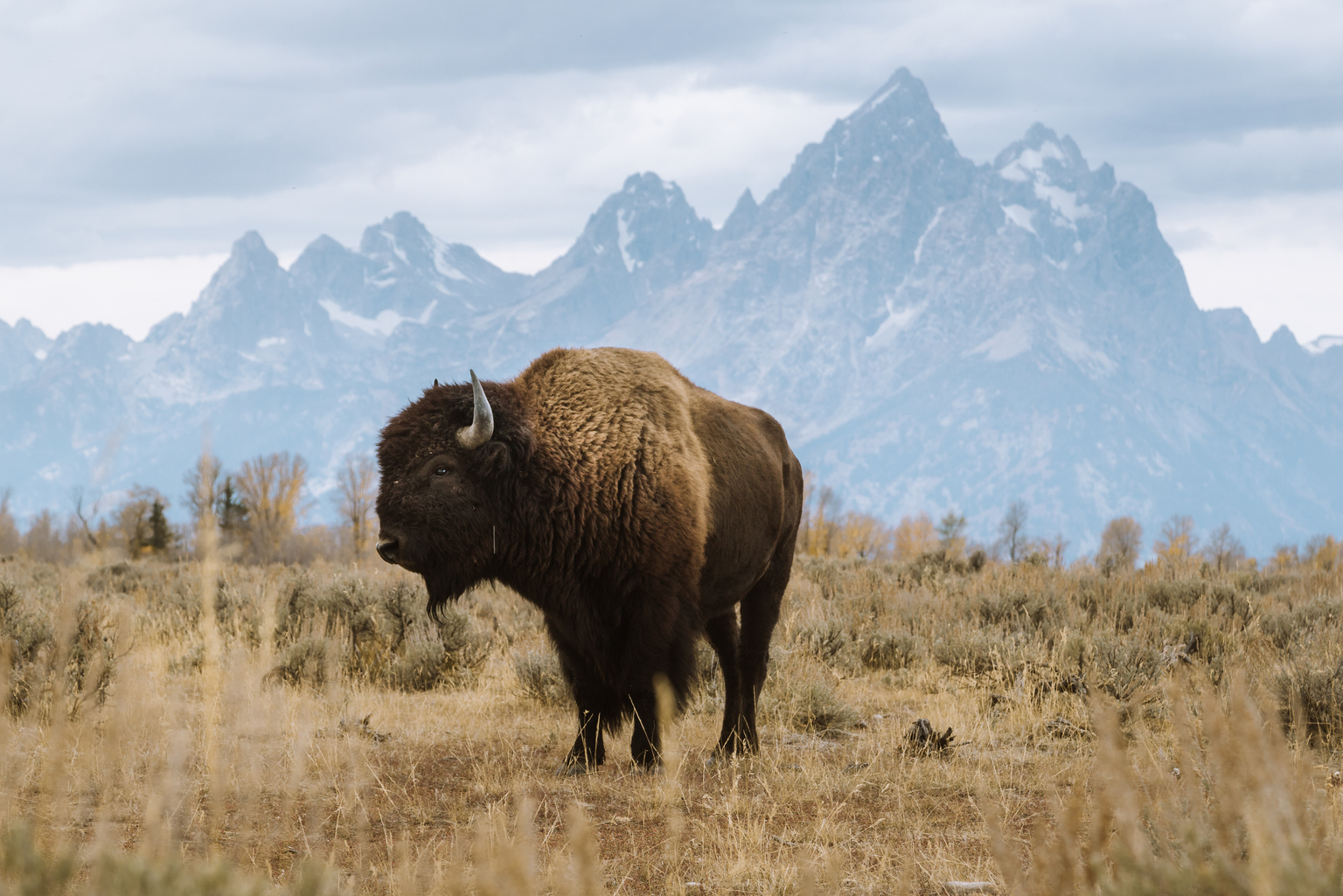 seekingalpha.com - Leo Nelissen - The Market Is Cracking - I'm Getting Ready To Buy My Favorite Stocks