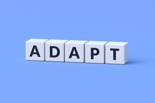 Adapt word on cubes. Fine-tuning of equipment. Adjusting settings. Modify strategy. Adaptation to climate change. Remodel the business structure. Improvement concept. 3d render