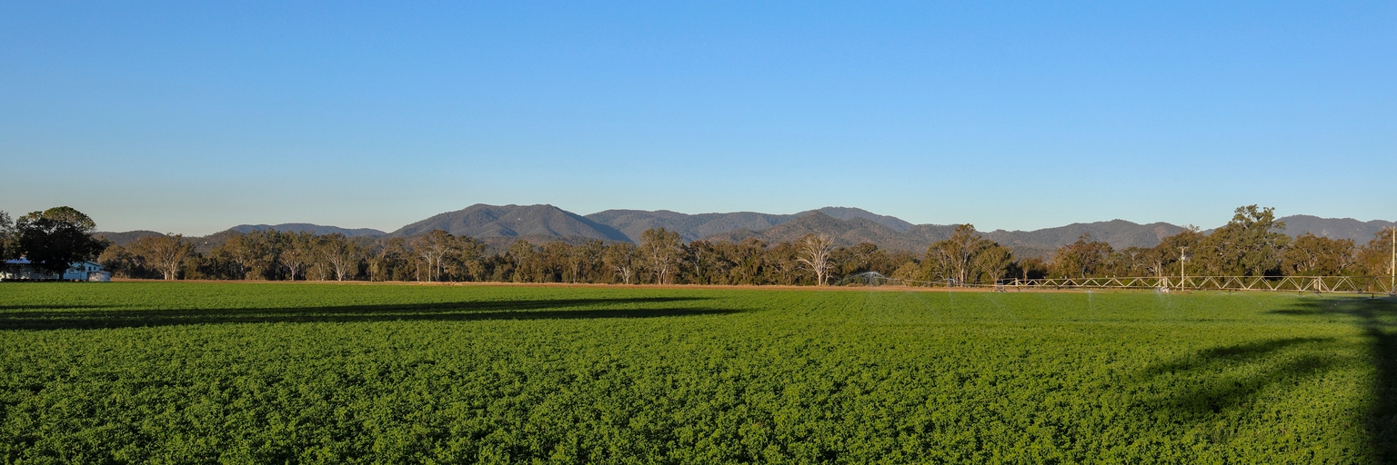 Gladstone Land: Why A Dividend Cut Is Likely (NASDAQ:LAND) Gladstone Land: Why A Dividend Cut Is Likely (NASDAQ:LAND)