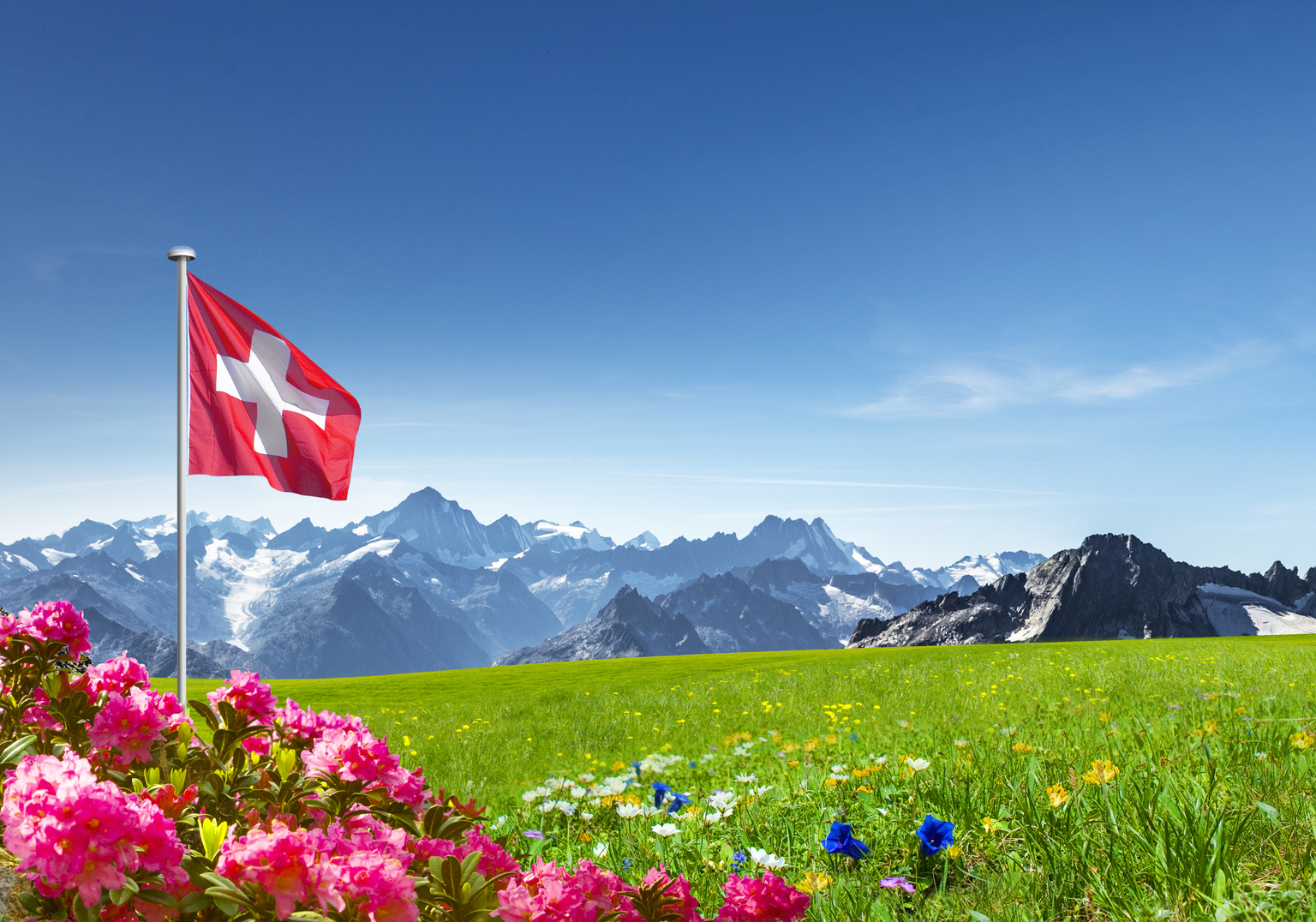 seekingalpha.com - Mike Zaccardi - EWL: No Energy, Light On Tech, Premium P/E (NYSEARCA:EWL)