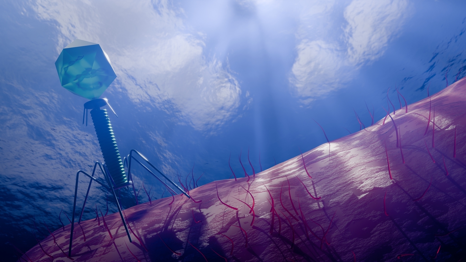 Armata Pharmaceuticals: Promising Phage Platform, But Phase 3 Is Everything (NYSE:ARMP) Armata Pharmaceuticals: Promising Phage Platform, But Phase 3 Is Everything (NYSE:ARMP)