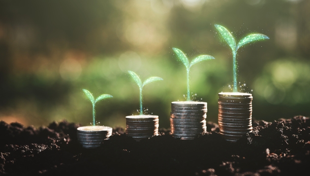 Growing Money Crypto, business finance and saving money investment , Money coin stack growing graph, Digital plant growing up on coins. Balance savings and investment. technology Cryptocurrency.
