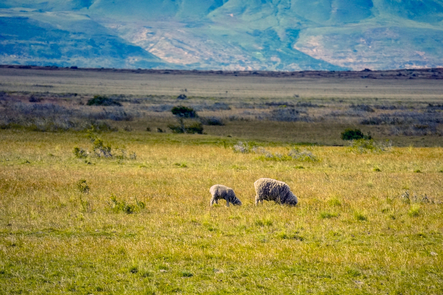 Cresud: Still Cheap After Argentina's Reforms (NASDAQ:CRESY) - Seeking Alpha thumbnail