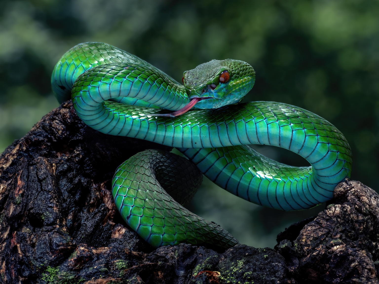 Viper Energy: Better Royalty Yields Are Elsewhere (Downgrade)
