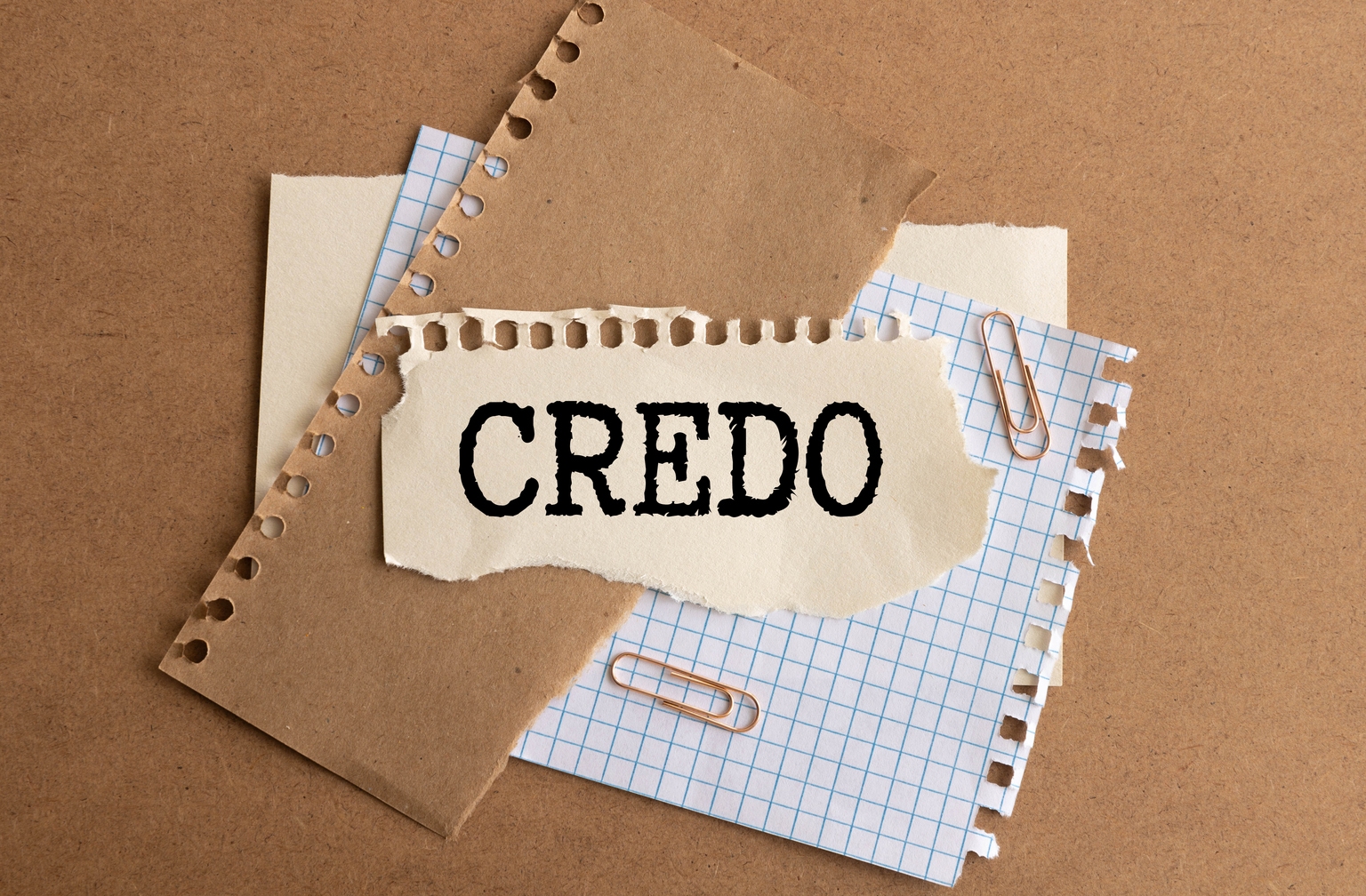 Credo: The Post-Earnings Dip Is A Buying Opportunity