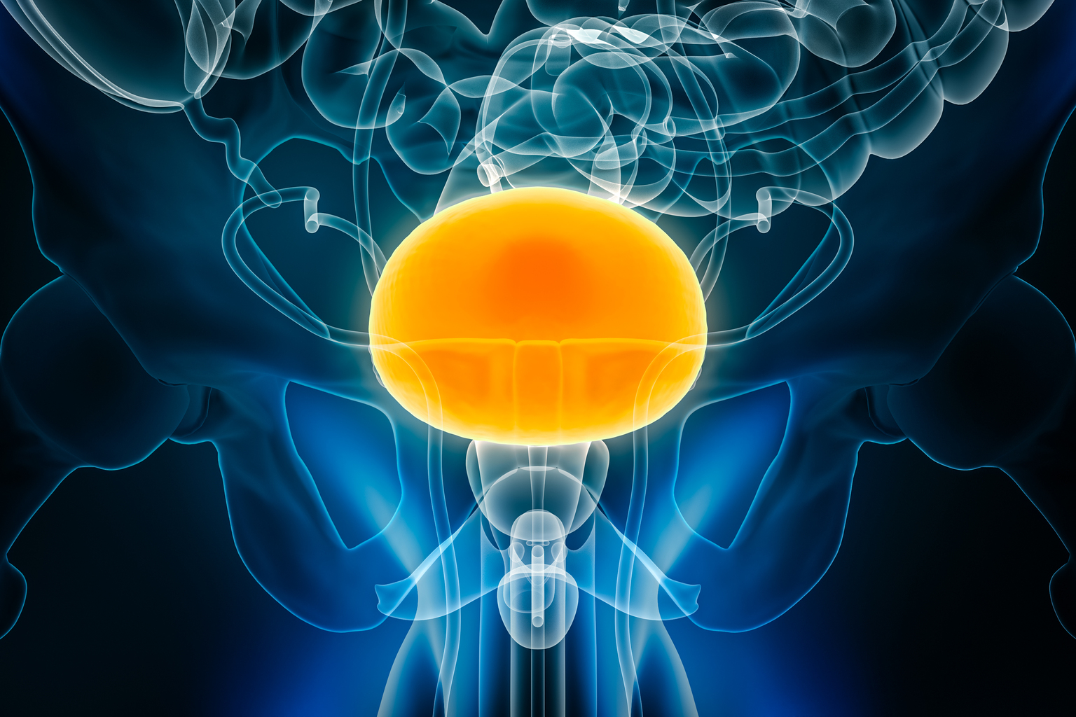 seekingalpha.com - Cypriot Invests - enGene Therapeutics: The Market Overreacted To The Latest Trial Results (NASDAQ:ENGN)