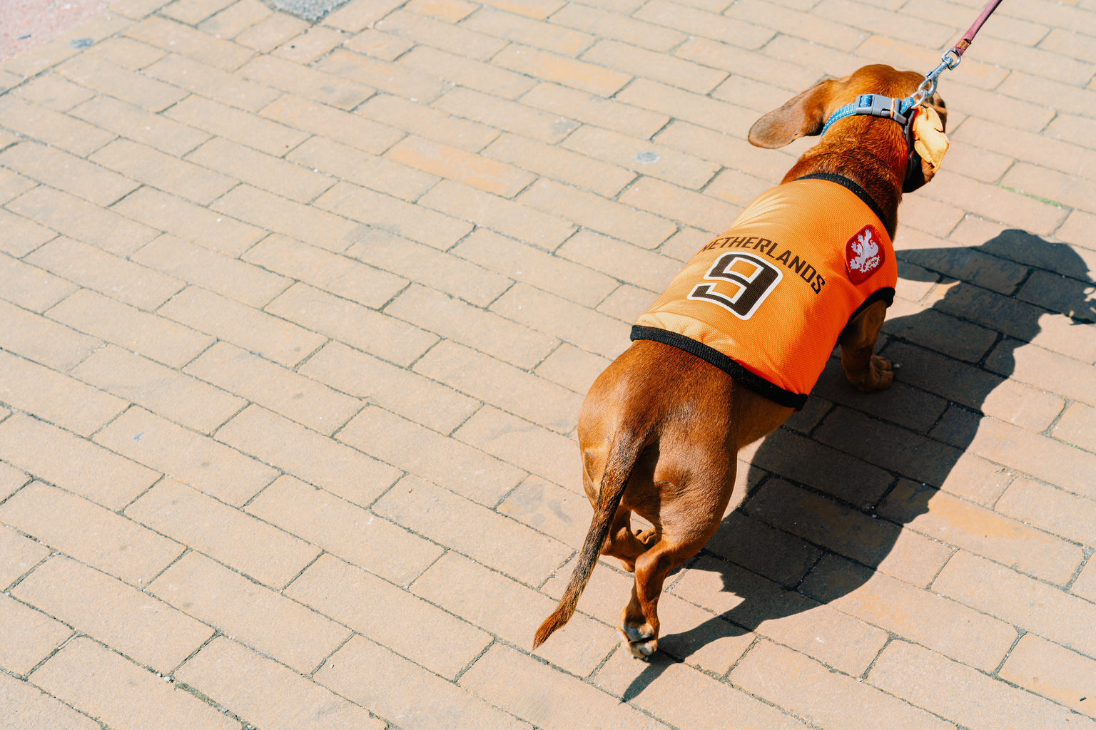 seekingalpha.com - The Investment Doctor - Tenaz Energy: An Important Call Option On European Natural Gas Prices (TSX:TNZ:CA)