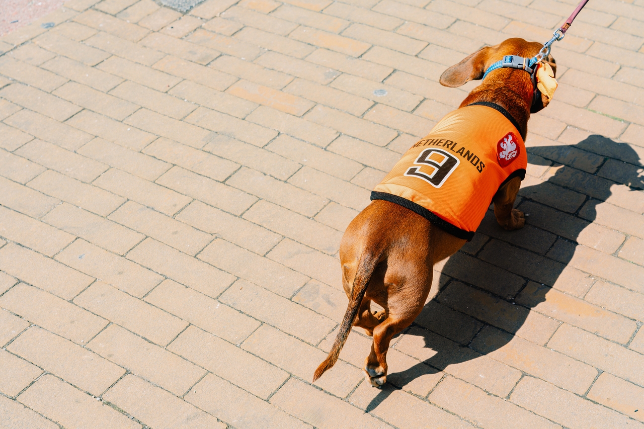 Tenaz Energy: An Important Call Option On European Natural Gas Prices